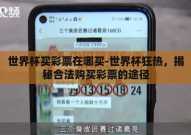 世界杯买彩票在哪买-世界杯狂热，揭秘合法购买彩票的途径