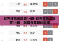 世界杯胜负彩票14场-世界杯胜负彩票14场，激情与策略的碰撞