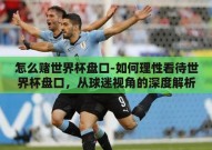 怎么赌世界杯盘口-如何理性看待世界杯盘口，从球迷视角的深度解析