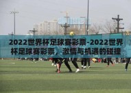 2022世界杯足球赛彩票-2022世界杯足球赛彩票，激情与机遇的碰撞