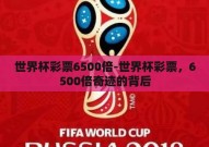 世界杯彩票6500倍-世界杯彩票，6500倍奇迹的背后