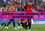 世界杯比分500彩票-世界杯赛场，激情与数字的交响曲