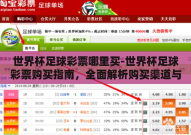世界杯足球彩票哪里买-世界杯足球彩票购买指南，全面解析购买渠道与注意事项