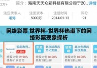 网络彩票 世界杯-世界杯热潮下的网络彩票现象探析