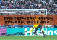 体育彩票世界杯冠军彩-体育彩票与世界杯冠军彩，梦想与机遇的交汇