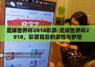 足球世界杯2018彩票-足球世界杯2018，彩票背后的激情与梦想