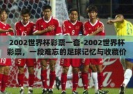 2002世界杯彩票一套-2002世界杯彩票，一段难忘的足球记忆与收藏价值
