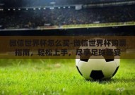 微信世界杯怎么买-微信世界杯购票指南，轻松上手，尽享足球盛宴