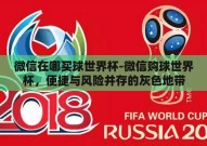 微信在哪买球世界杯-微信购球世界杯，便捷与风险并存的灰色地带