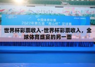 世界杯彩票收入-世界杯彩票收入，全球体育盛宴的另一面