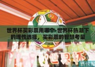 世界杯买彩票用哪个-世界杯热潮下的理性选择，买彩票的智慧考量