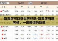 彩票店可以赌世界杯吗-彩票店与世界杯，一场谨慎的赌博