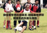 微信看世界杯猜球员-微信看世界杯，猜球员的乐趣与激情