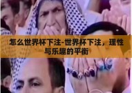 怎么世界杯下注-世界杯下注，理性与乐趣的平衡