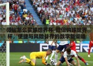 微信怎么买球世界杯-微信购球世界杯，便捷与风险并存的数字新渠道