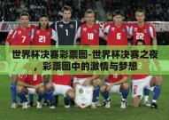 世界杯决赛彩票图-世界杯决赛之夜，彩票图中的激情与梦想
