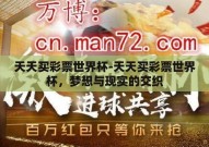 天天买彩票世界杯-天天买彩票世界杯，梦想与现实的交织