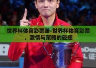世界杯体育彩票赔-世界杯体育彩票，激情与策略的碰撞