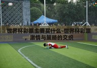 世界杯彩票主要买什么-世界杯彩票，激情与策略的交织