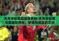 天天中彩票赢球世界杯-天天中彩票与赢球世界杯，梦想与现实的交织
