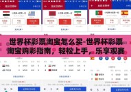 世界杯彩票淘宝怎么买-世界杯彩票淘宝购彩指南，轻松上手，乐享观赛