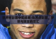 世界杯彩票中奖结果-世界杯彩票，梦想与现实的交汇