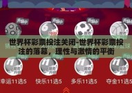 世界杯彩票投注关闭-世界杯彩票投注的落幕，理性与激情的平衡