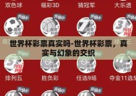 世界杯彩票真实吗-世界杯彩票，真实与幻象的交织