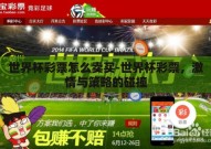 世界杯彩票怎么卖买-世界杯彩票，激情与策略的碰撞