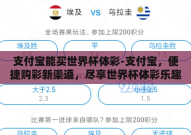 支付宝能买世界杯体彩-支付宝，便捷购彩新渠道，尽享世界杯体彩乐趣