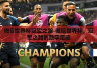 微信世界杯冠军之路-微信世界杯，冠军之路的数字足迹