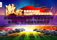 在哪里可以赌世界杯-探索世界杯观赛乐趣，合法途径与激情共享