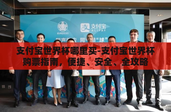支付宝世界杯哪里买-支付宝世界杯购票指南，便捷、安全、全攻略