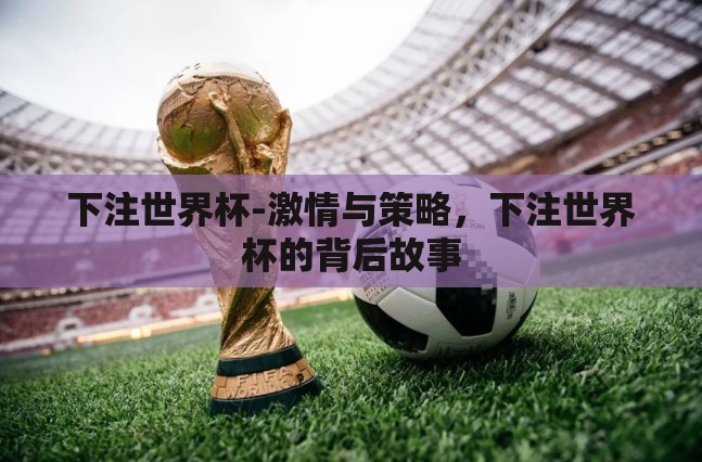 下注世界杯-激情与策略，下注世界杯的背后故事