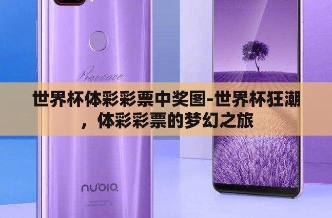世界杯体彩彩票中奖图-世界杯狂潮，体彩彩票的梦幻之旅