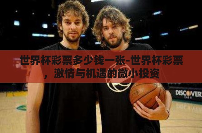 世界杯彩票多少钱一张-世界杯彩票,激情与机遇的微小投资 世界杯彩票多少钱一张-世界杯彩票,激情与机遇的微小投资