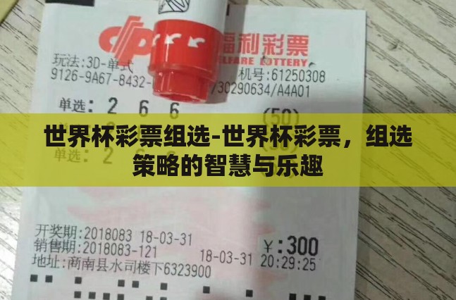 世界杯彩票组选-世界杯彩票，组选策略的智慧与乐趣
