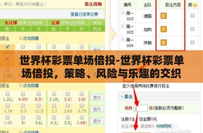 世界杯彩票单场倍投-世界杯彩票单场倍投，策略、风险与乐趣的交织