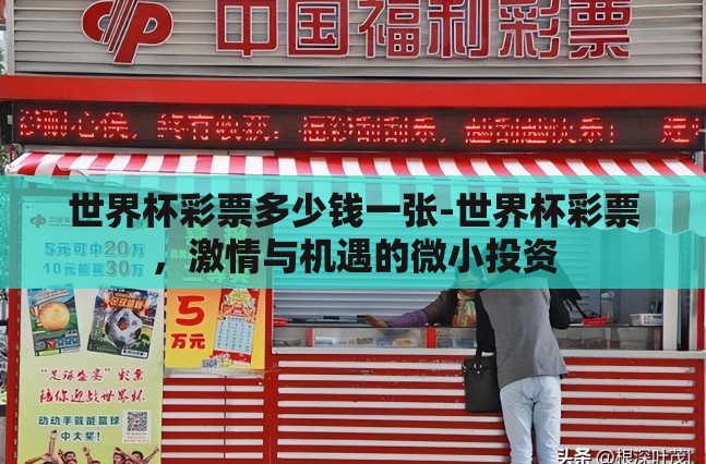 世界杯彩票多少钱一张-世界杯彩票，激情与机遇的微小投资