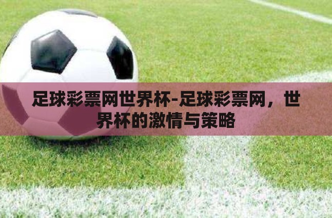 足球彩票网世界杯-足球彩票网,世界杯的激情与策略 足球彩票网世界杯-足球彩票网,世界杯的激情与策略
