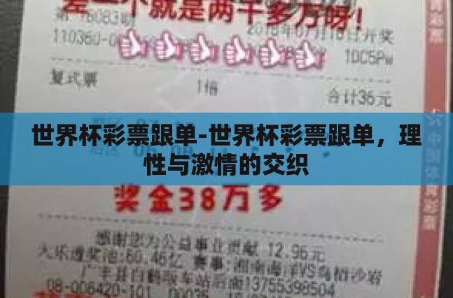 世界杯彩票跟单-世界杯彩票跟单，理性与激情的交织