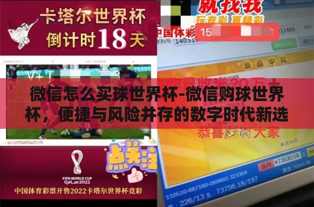 微信怎么买球世界杯-微信购球世界杯，便捷与风险并存的数字时代新选择
