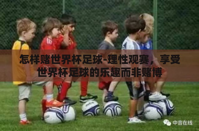 怎样赌世界杯足球-理性观赛,享受世界杯足球的乐趣而非赌博 怎样赌世界杯足球-理性观赛,享受世界杯足球的乐趣而非赌博