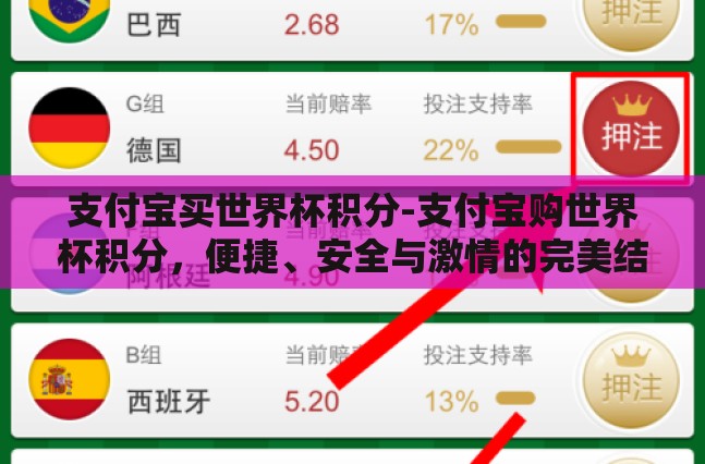 支付宝买世界杯积分-支付宝购世界杯积分，便捷、安全与激情的完美结合