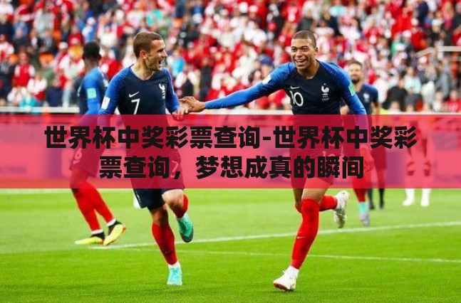 世界杯中奖彩票查询-世界杯中奖彩票查询，梦想成真的瞬间