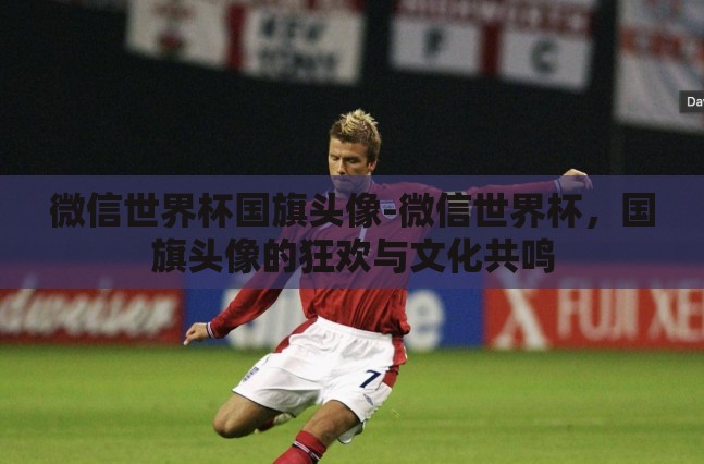 微信世界杯国旗头像-微信世界杯，国旗头像的狂欢与文化共鸣