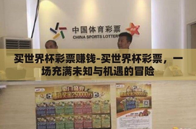 买世界杯彩票赚钱-买世界杯彩票,一场充满未知与机遇的冒险 买世界杯彩票赚钱-买世界杯彩票,一场充满未知与机遇的冒险