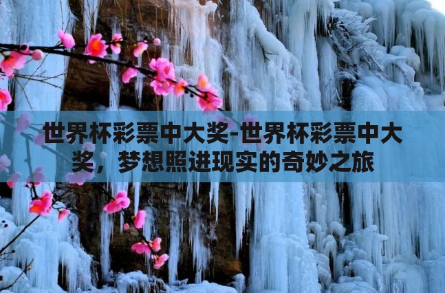 世界杯彩票中大奖-世界杯彩票中大奖，梦想照进现实的奇妙之旅