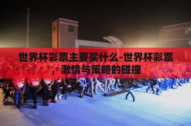 世界杯彩票主要买什么-世界杯彩票，激情与策略的碰撞