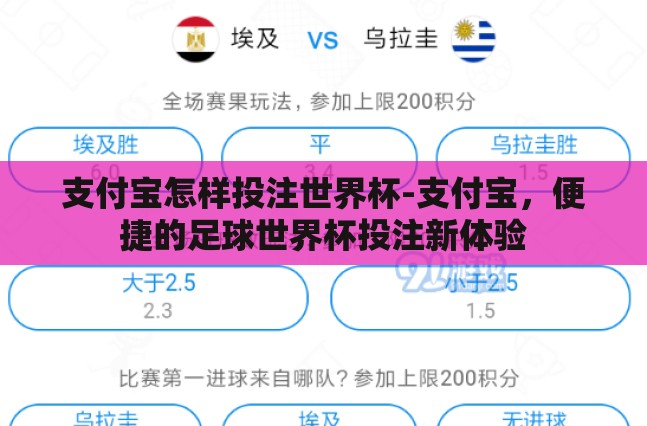 支付宝怎样投注世界杯-支付宝，便捷的足球世界杯投注新体验